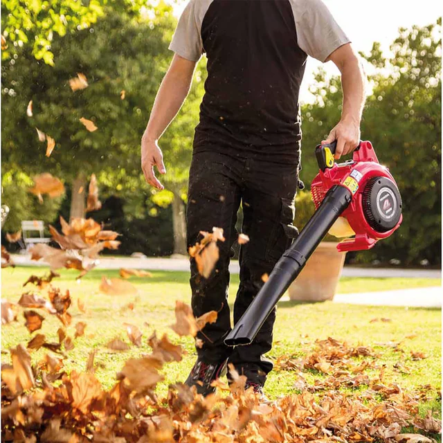 Benzin-Laubbläser HHB 25