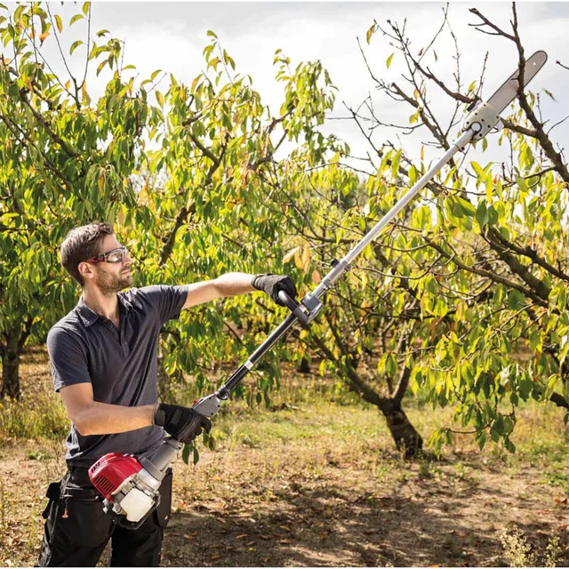 Hochentaster SS PP E , Zubehör für Motorsensen